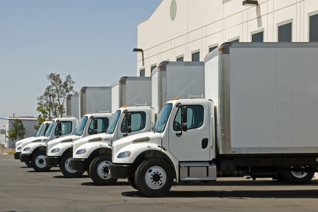 Transportation & Logistics Service